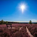 Flair Zur Eiche Buchholz in der Nordheide