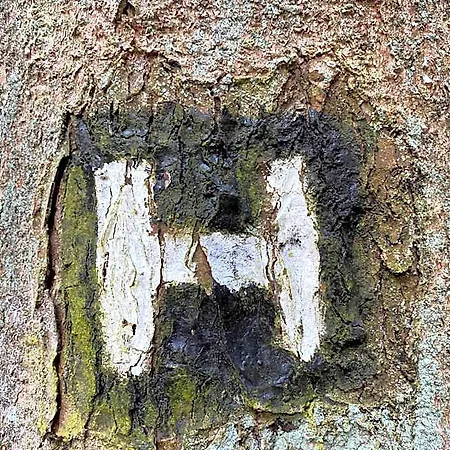 Flair Zur Eiche 호텔